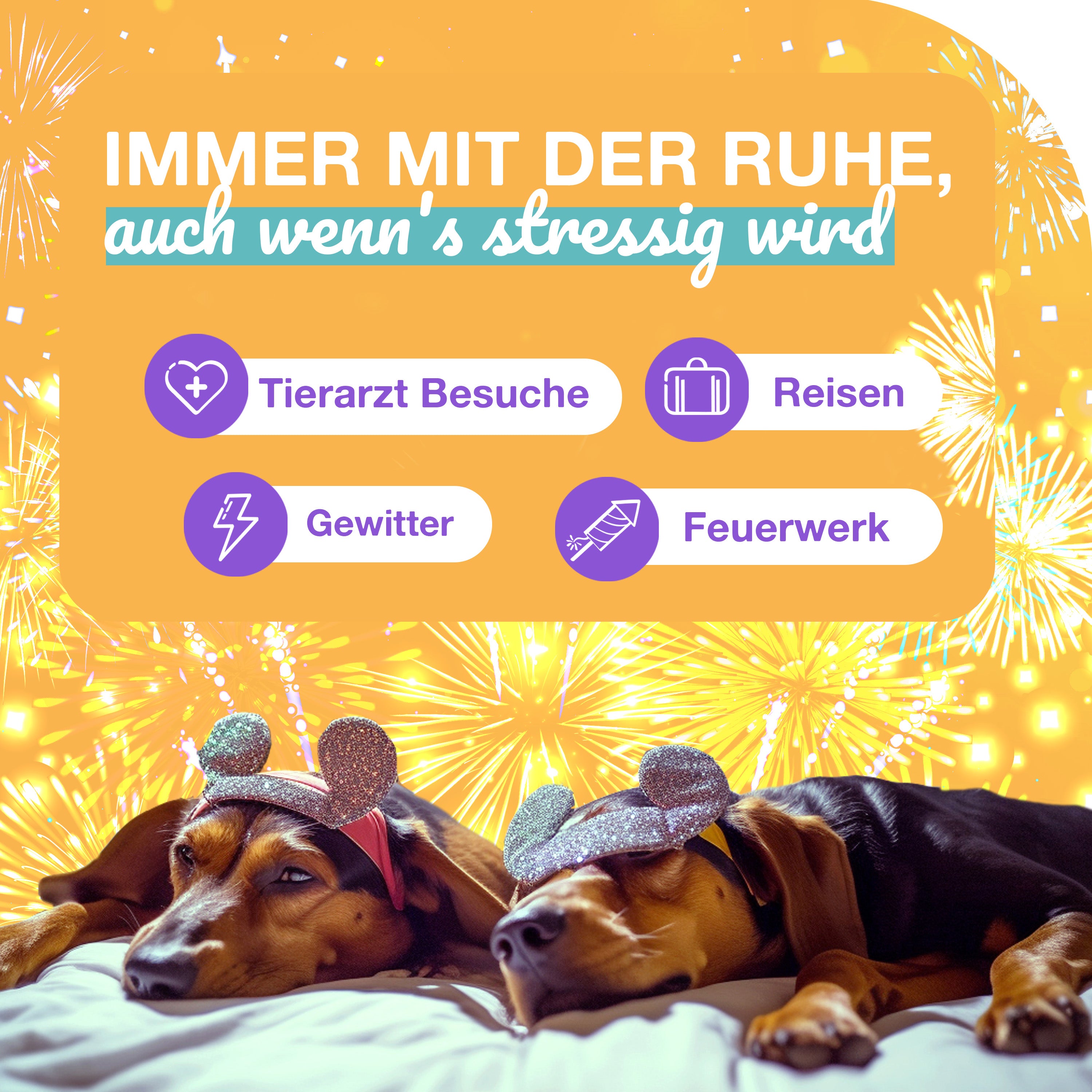 Paawy CBD Öl Hund – 1.000 mg reines Vollspektrum CBD – das natürliche Beruhigungsmittel für Hunde