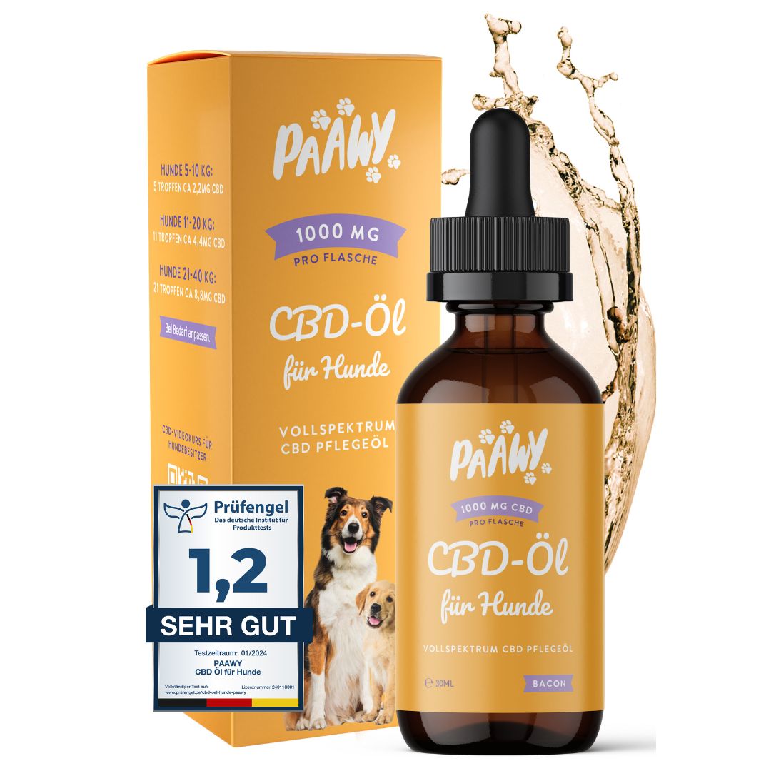 Paawy CBD Öl Hund – 1.000 mg reines Vollspektrum CBD – das natürliche Beruhigungsmittel für Hunde